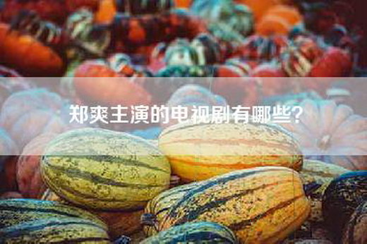 郑爽主演的电视剧有哪些？