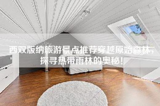 西双版纳旅游景点推荐穿越原始森林，探寻热带雨林的奥秘！