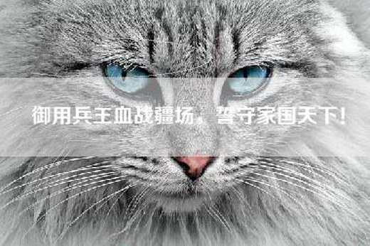 御用兵王血战疆场，誓守家国天下！