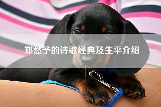 郑愁予的诗歌经典及生平介绍