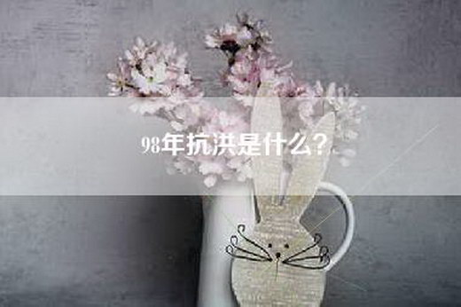 98年抗洪是什么？