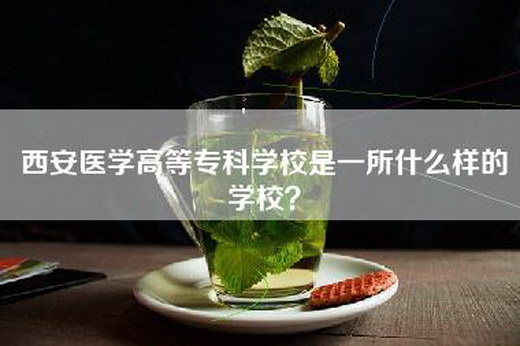 西安医学高等专科学校是一所什么样的学校？