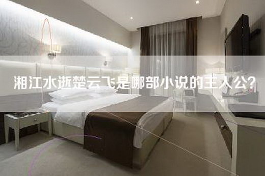 湘江水逝楚云飞是哪部小说的主人公？