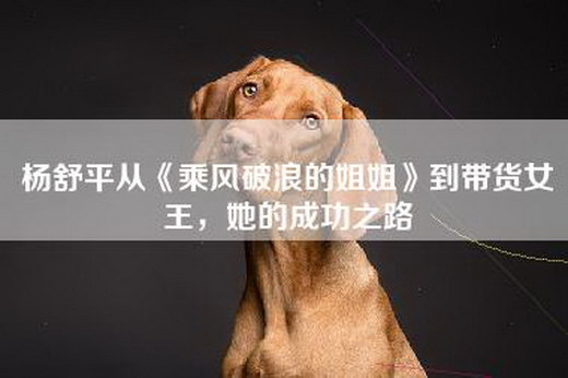 杨舒平从《乘风破浪的姐姐》到带货女王，她的成功之路