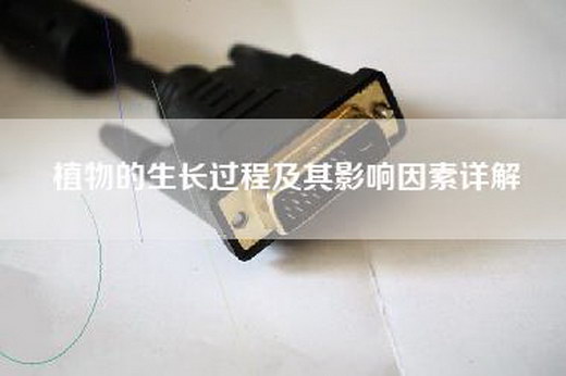 植物的生长过程及其影响因素详解