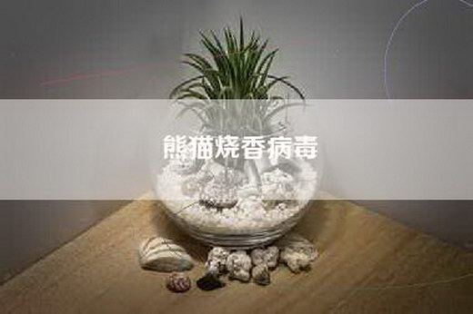 熊猫烧香病毒
