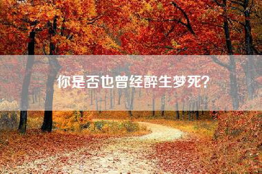 你是否也曾经醉生梦死？