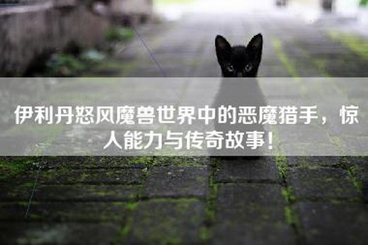 伊利丹怒风魔兽世界中的恶魔猎手，惊人能力与传奇故事！