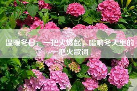 温暖冬日，一把火燃起，唱响冬天里的一把火歌词