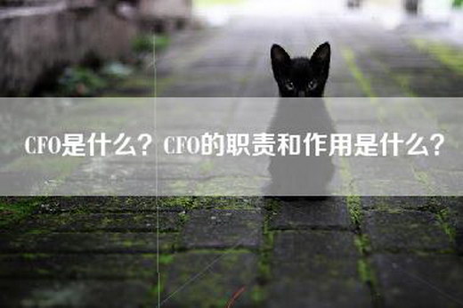 CFO是什么？CFO的职责和作用是什么？