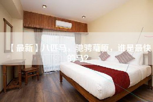 【最新】八匹马，驰骋草原，谁是最快的马？