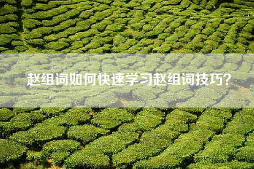赵组词如何快速学习赵组词技巧？