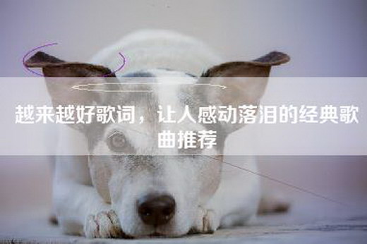 越来越好歌词，让人感动落泪的经典歌曲推荐