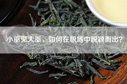 小巫见大巫，如何在职场中脱颖而出？