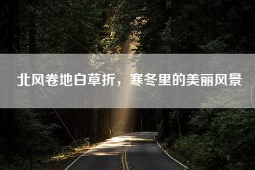 北风卷地白草折，寒冬里的美丽风景