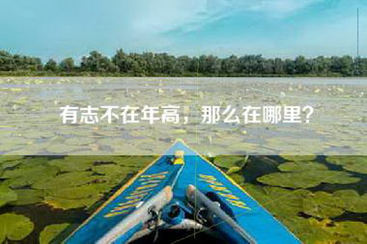 有志不在年高，那么在哪里？