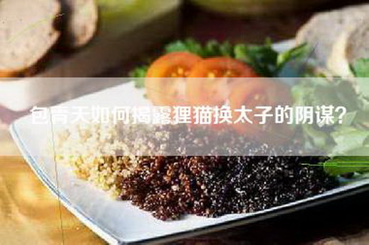 包青天如何揭露狸猫换太子的阴谋？
