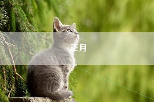 正月