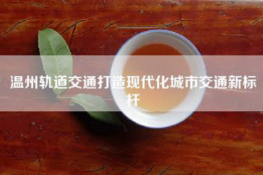 温州轨道交通打造现代化城市交通新标杆