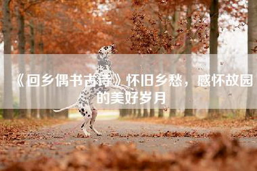 《回乡偶书古诗》怀旧乡愁，感怀故园的美好岁月