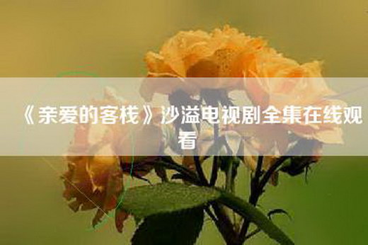 《亲爱的客栈》沙溢电视剧全集在线观看