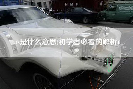 ts是什么意思(初学者必看的解析)
