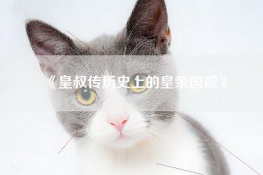 《皇叔传历史上的皇亲国戚》