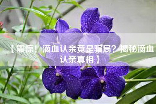 【震惊！滴血认亲竟是骗局？揭秘滴血认亲真相】