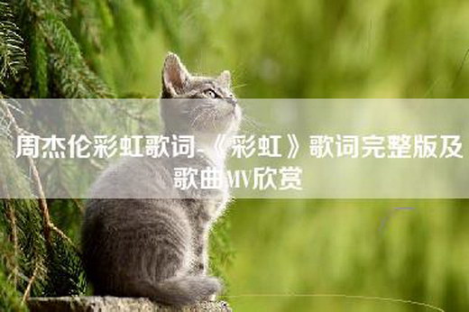 周杰伦彩虹歌词-《彩虹》歌词完整版及歌曲MV欣赏