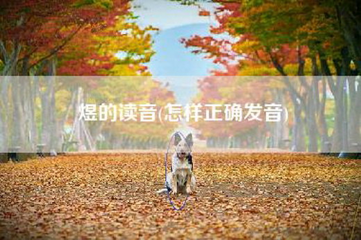 煜的读音(怎样正确发音)