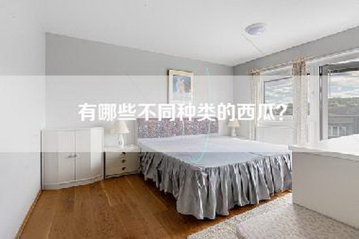 有哪些不同种类的西瓜？