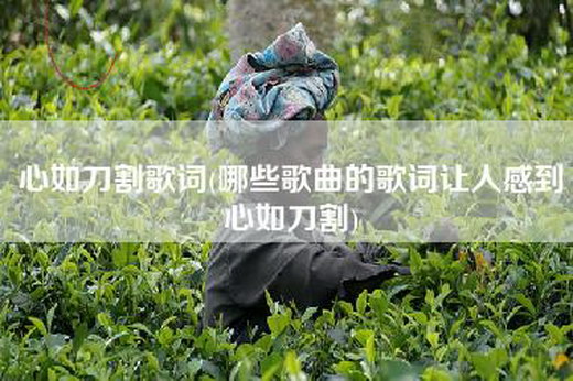 心如刀割歌词(哪些歌曲的歌词让人感到心如刀割)