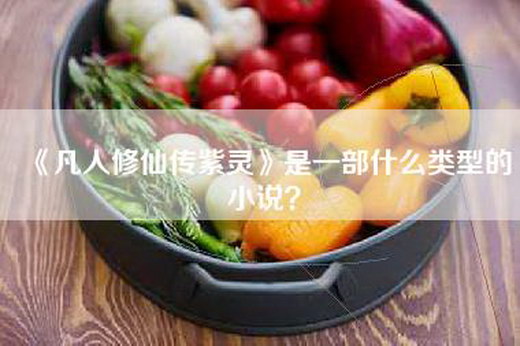 《凡人修仙传紫灵》是一部什么类型的小说？