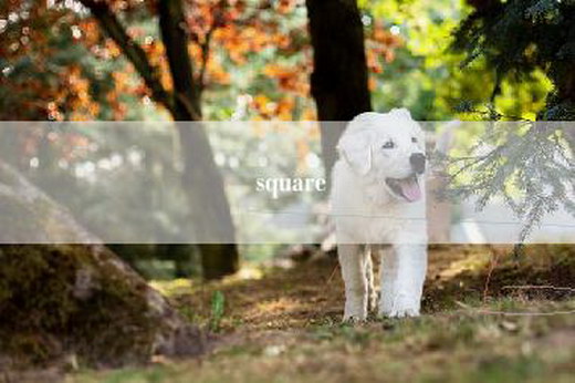 square