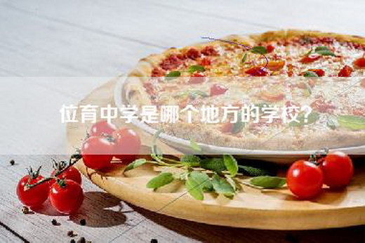 位育中学是哪个地方的学校？