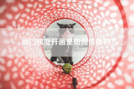 幽门螺旋杆菌是如何传播的？