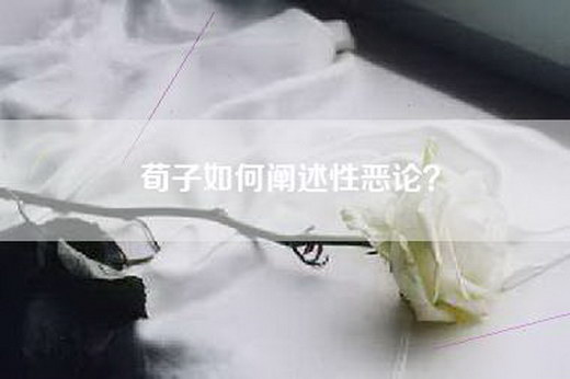 荀子如何阐述性恶论？