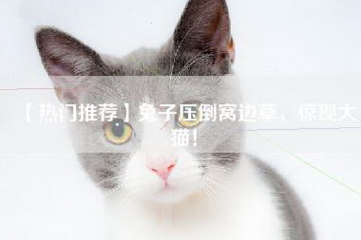【热门推荐】兔子压倒窝边草，惊现大猫！