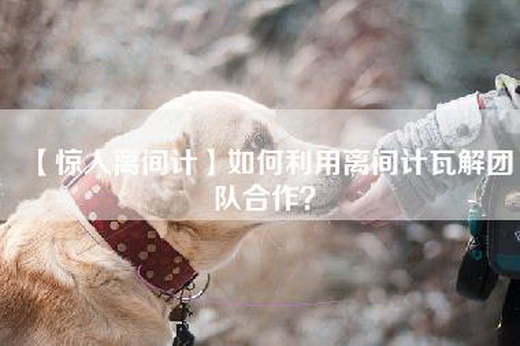 【惊人离间计】如何利用离间计瓦解团队合作？