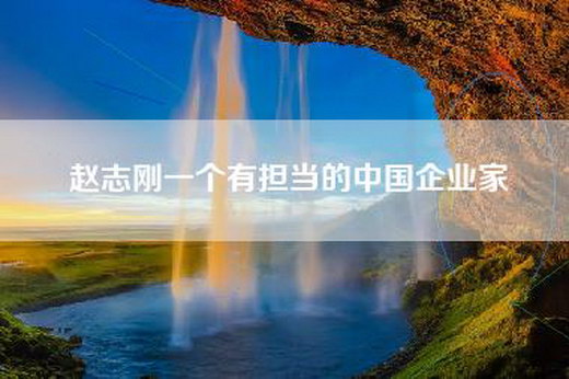 赵志刚一个有担当的中国企业家