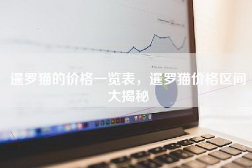 暹罗猫的价格一览表，暹罗猫价格区间大揭秘