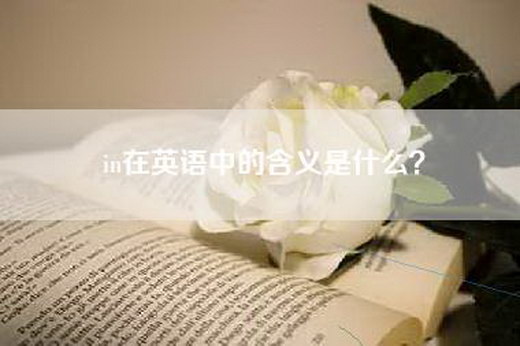 in在英语中的含义是什么？