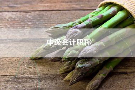 中级会计职称