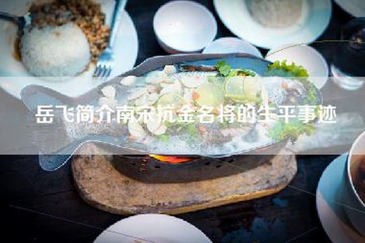 岳飞简介南宋抗金名将的生平事迹
