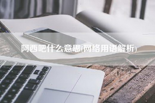 阿西吧什么意思(网络用语解析)