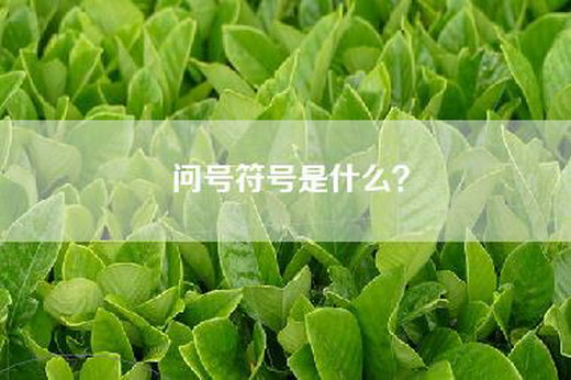 问号符号是什么？