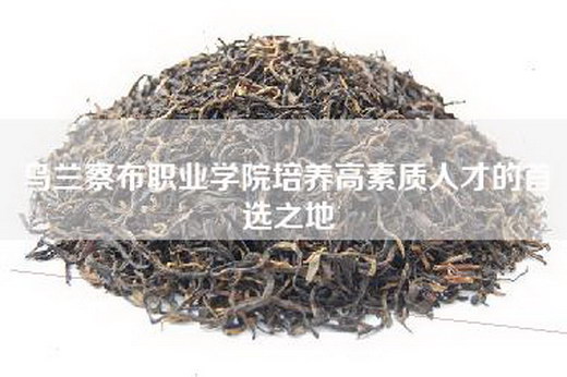 乌兰察布职业学院培养高素质人才的首选之地