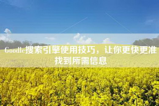 Goodle搜索引擎使用技巧，让你更快更准找到所需信息