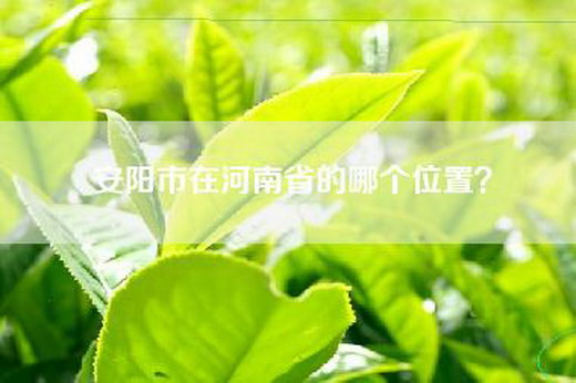 安阳市在河南省的哪个位置？