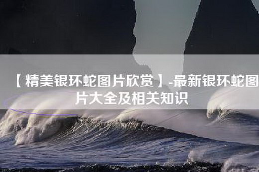 【精美银环蛇图片欣赏】-最新银环蛇图片大全及相关知识